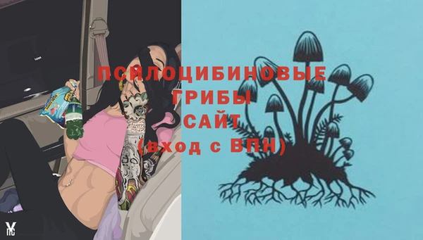 соль ск Зерноград