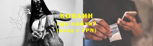 молекула духа Инсар