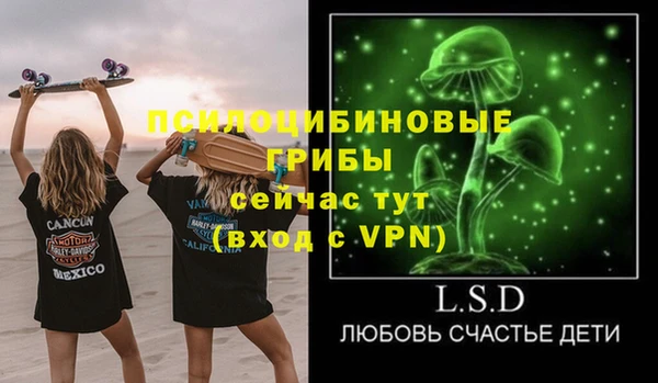 соль ск Зерноград