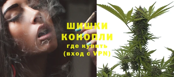 молекула духа Инсар