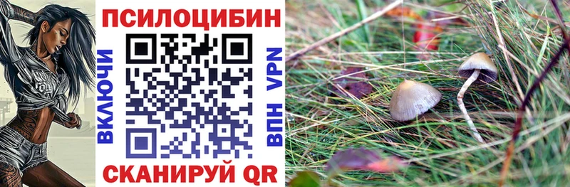 Купить закладки  Серафимович  Галлюциногенные грибы мицелий 